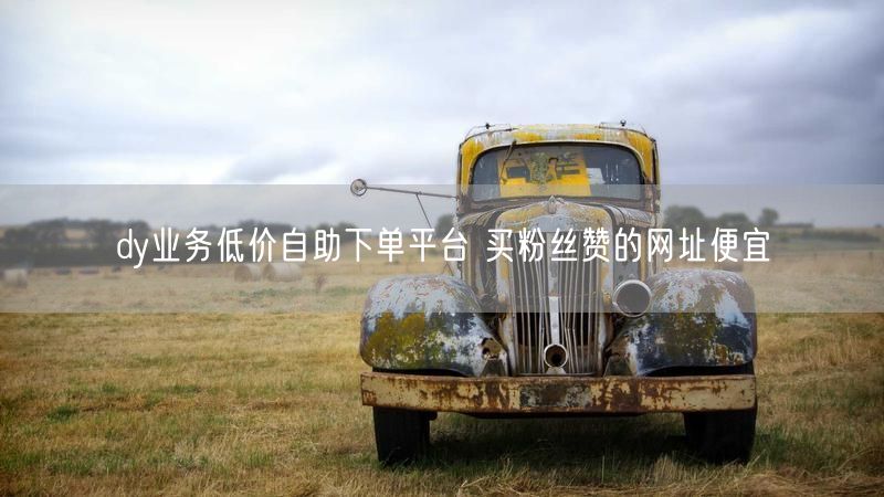 dy业务低价自助下单平台 买粉丝赞的网址便宜