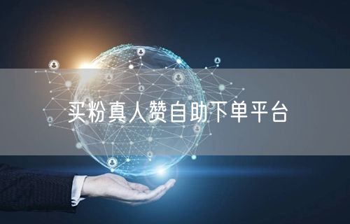 买粉真人赞自助下单平台