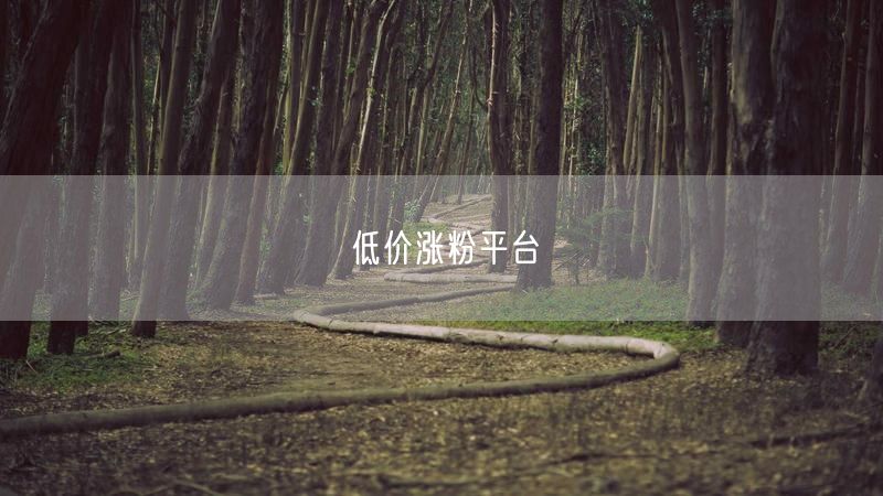 低价涨粉平台