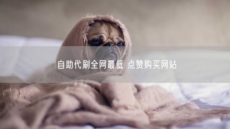自助代刷全网最低 点赞购买网站