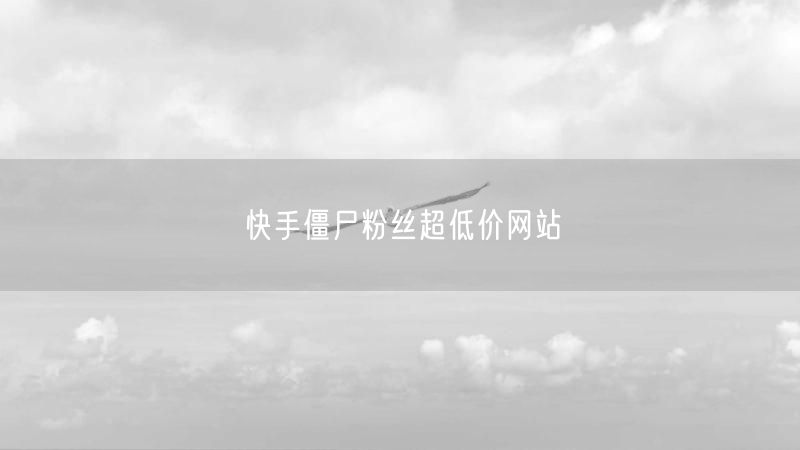 快手僵尸粉丝超低价网站