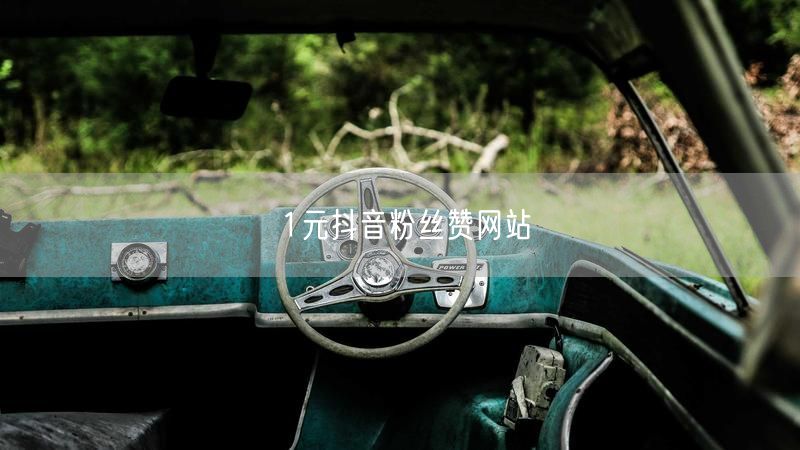 1元抖音粉丝赞网站