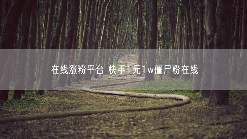 在线涨粉平台 快手1元1w僵尸粉在线