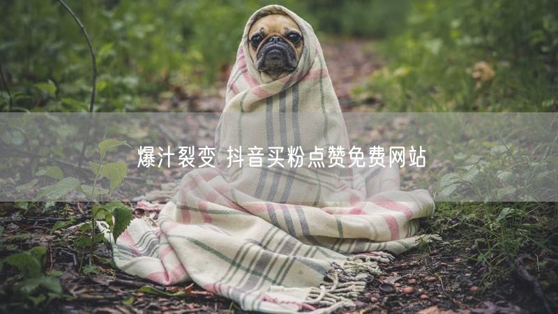 爆汁裂变 抖音买粉点赞免费网站