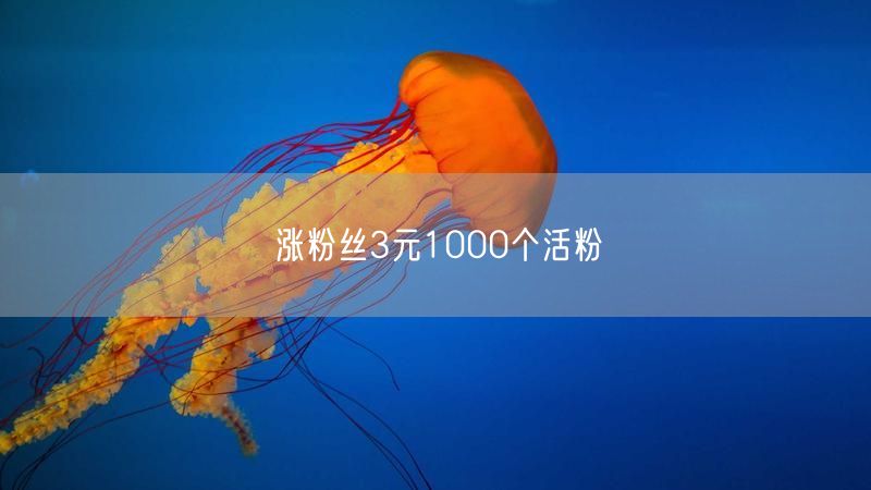 涨粉丝3元1000个活粉