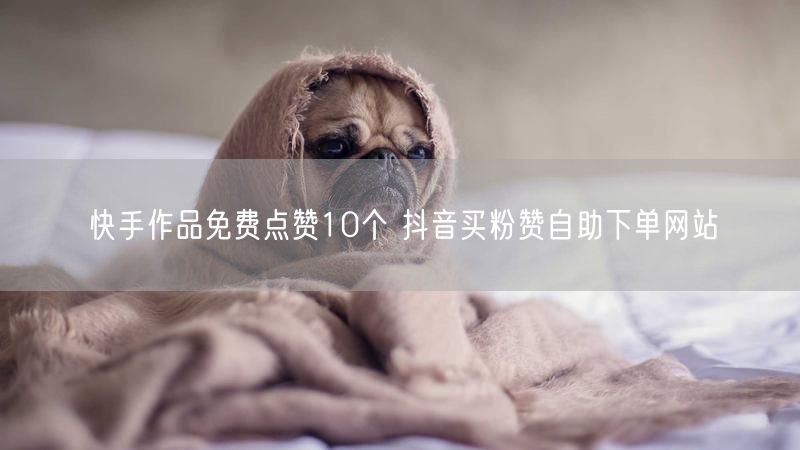 快手作品免费点赞10个 抖音买粉赞自助下单网站