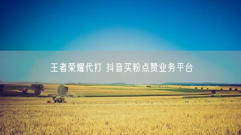 王者荣耀代打 抖音买粉点赞业务平台