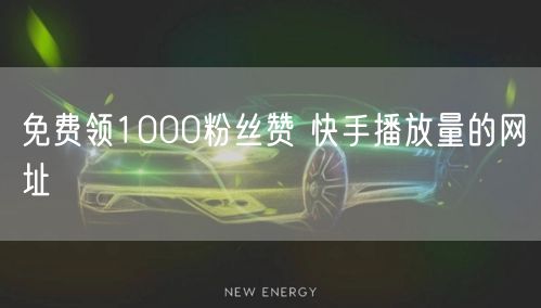 免费领1000粉丝赞 快手播放量的网址
