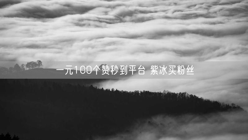 一元100个赞秒到平台 紫冰买粉丝