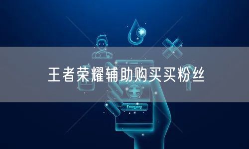 王者荣耀辅助购买买粉丝