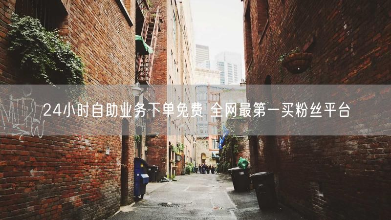 24小时自助业务下单免费 全网最第一买粉丝平台