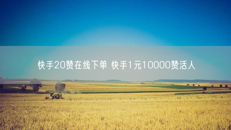 快手20赞在线下单 快手1元10000赞活人