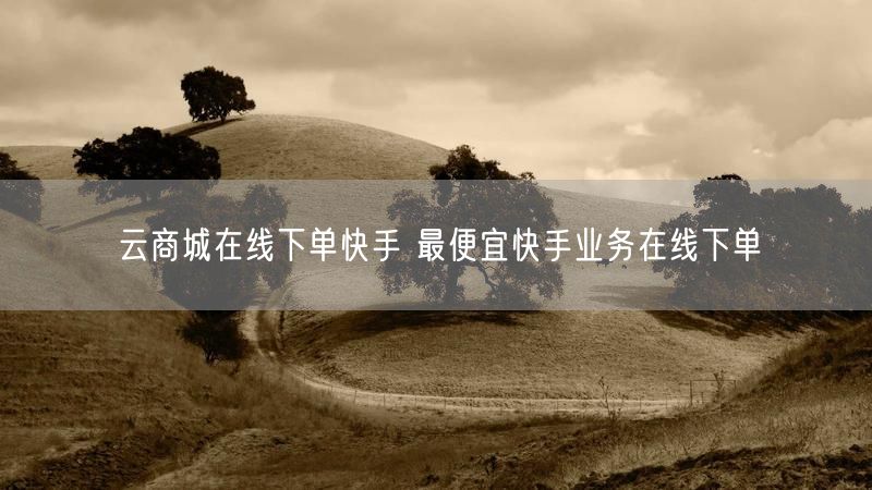 云商城在线下单快手 最便宜快手业务在线下单