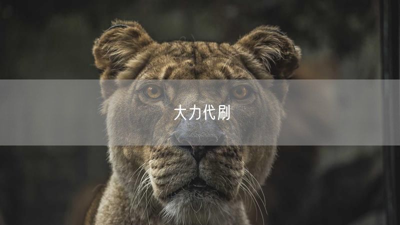 大力代刷