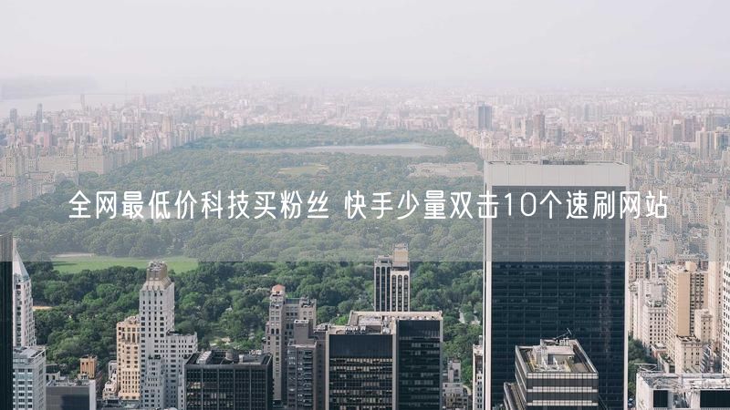 全网最低价科技买粉丝 快手少量双击10个速刷网站