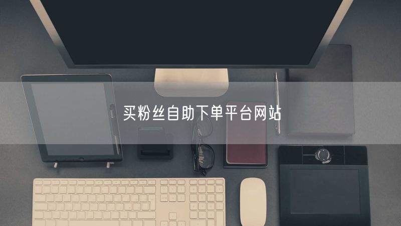 买粉丝自助下单平台网站