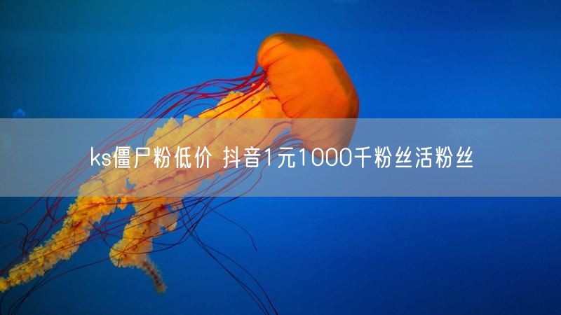 ks僵尸粉低价 抖音1元1000千粉丝活粉丝