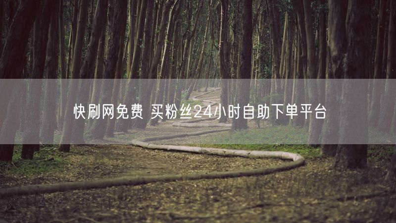 快刷网免费 买粉丝24小时自助下单平台