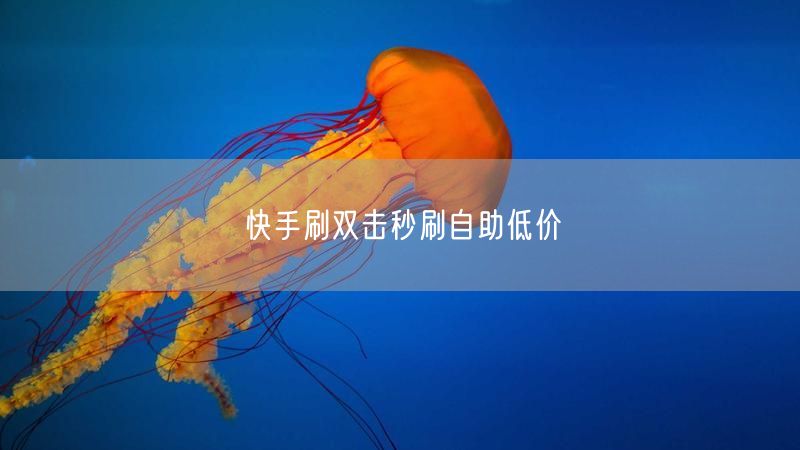 快手刷双击秒刷自助低价