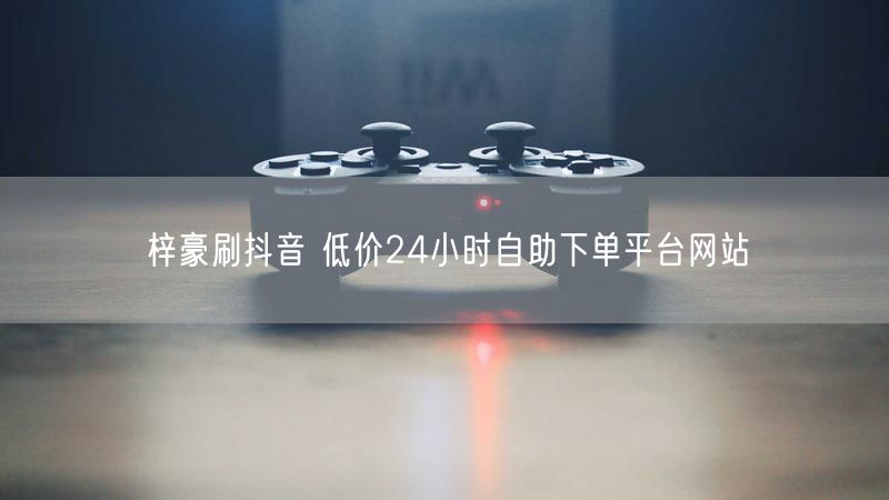 梓豪刷抖音 低价24小时自助下单平台网站