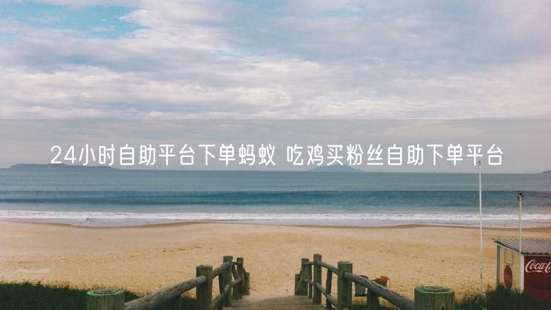24小时自助平台下单蚂蚁 吃鸡买粉丝自助下单平台