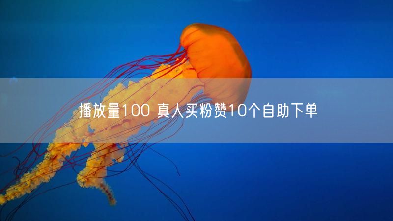 播放量100 真人买粉赞10个自助下单