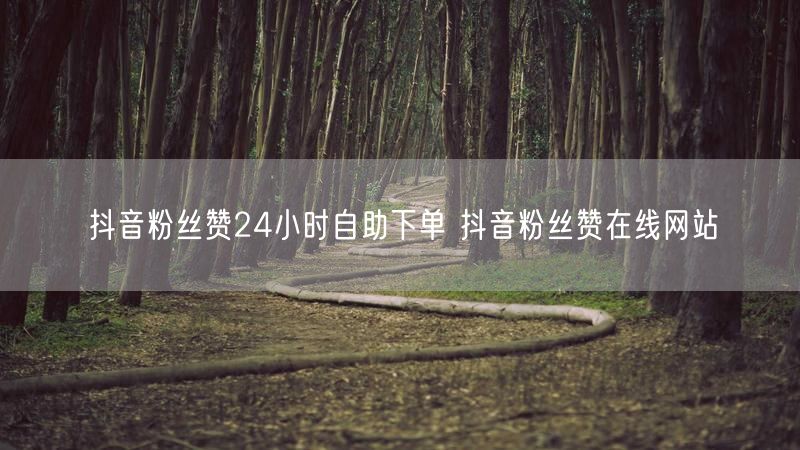抖音粉丝赞24小时自助下单 抖音粉丝赞在线网站