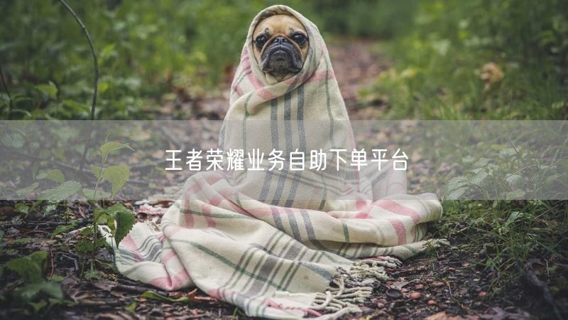 王者荣耀业务自助下单平台