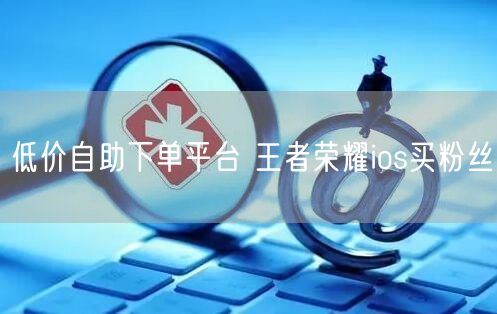 低价自助下单平台 王者荣耀ios买粉丝