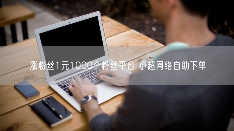 涨粉丝1元1000个粉丝平台 小超网络自助下单