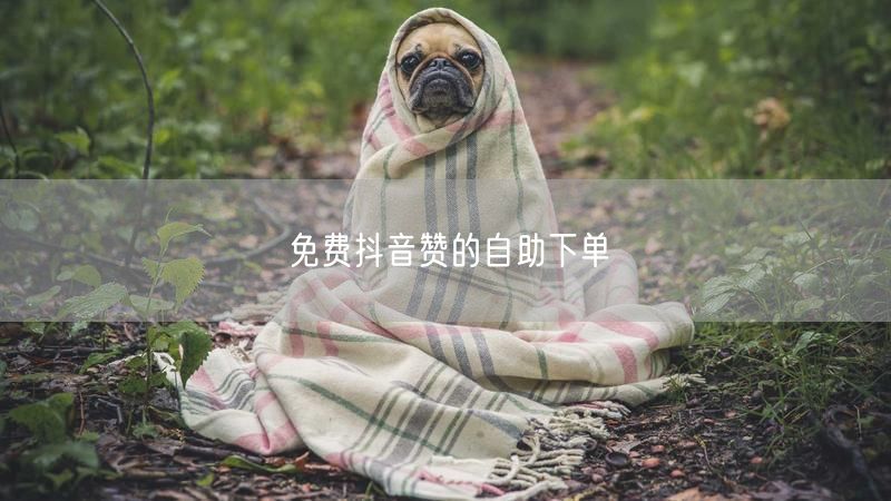免费抖音赞的自助下单