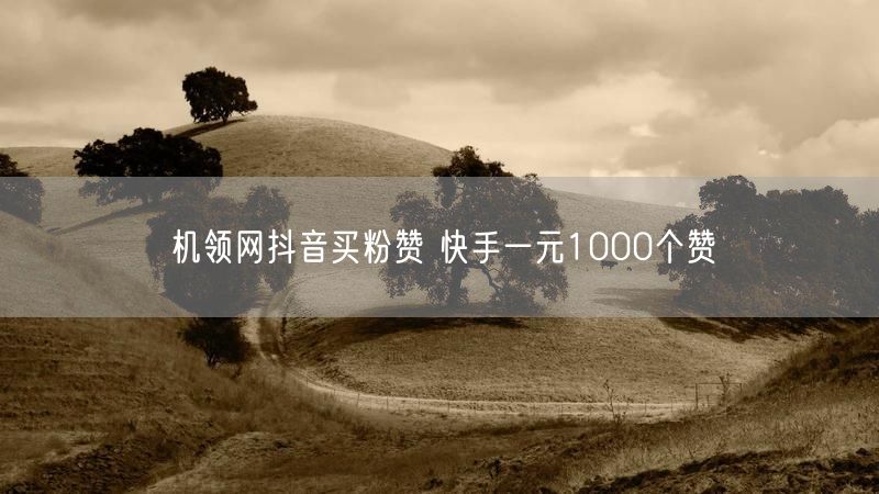 机领网抖音买粉赞 快手一元1000个赞