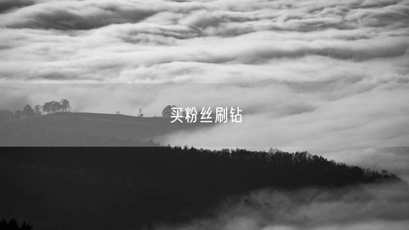 买粉丝刷钻