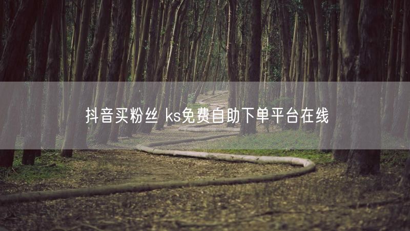 抖音买粉丝 ks免费自助下单平台在线