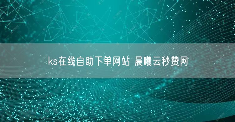 ks在线自助下单网站 晨曦云秒赞网