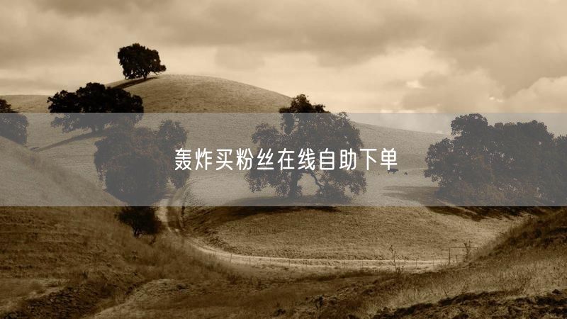 轰炸买粉丝在线自助下单