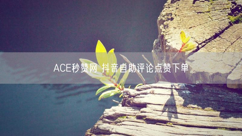ACE秒赞网 抖音自助评论点赞下单