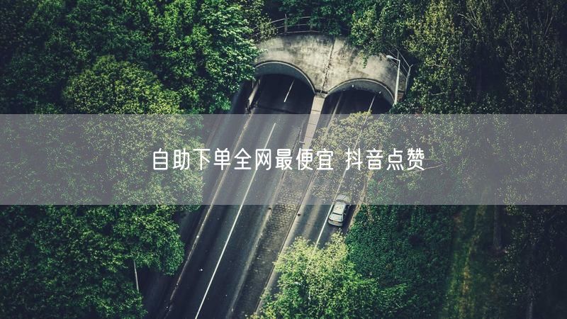 自助下单全网最便宜 抖音点赞