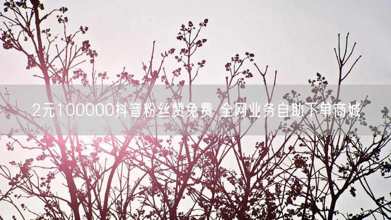 2元100000抖音粉丝赞免费 全网业务自助下单商城