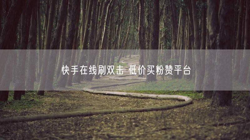 快手在线刷双击 低价买粉赞平台