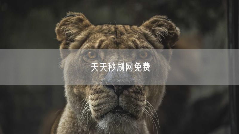 天天秒刷网免费