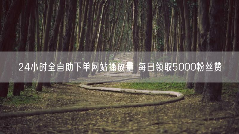 24小时全自助下单网站播放量 每日领取5000粉丝赞