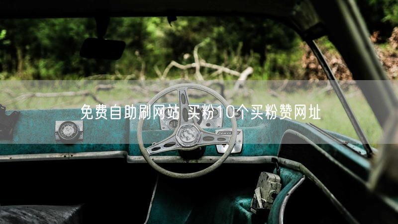 免费自助刷网站 买粉10个买粉赞网址