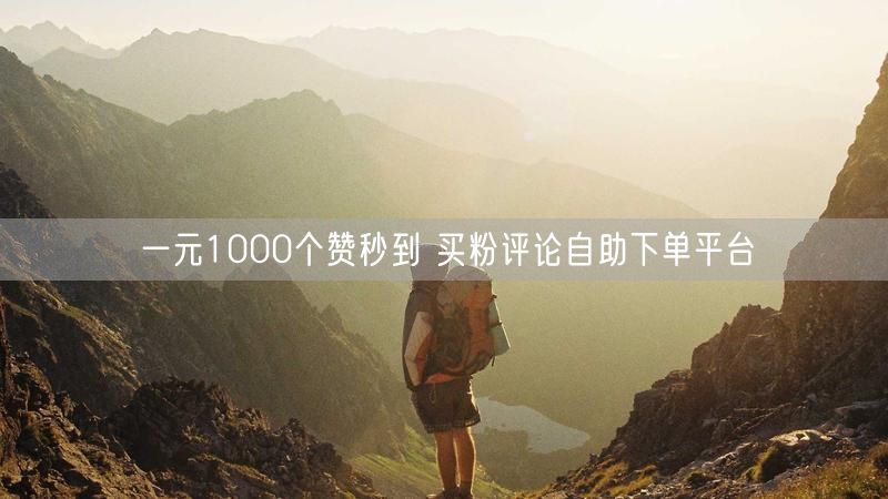 一元1000个赞秒到 买粉评论自助下单平台