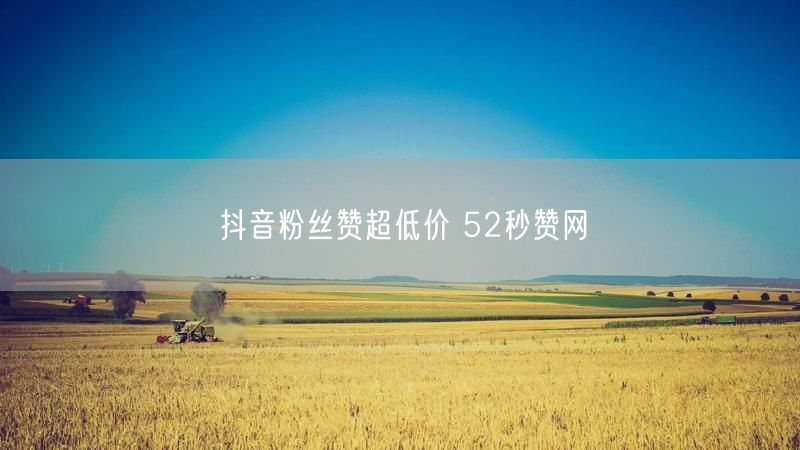 抖音粉丝赞超低价 52秒赞网