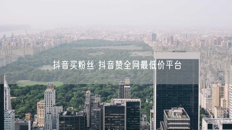抖音买粉丝 抖音赞全网最低价平台