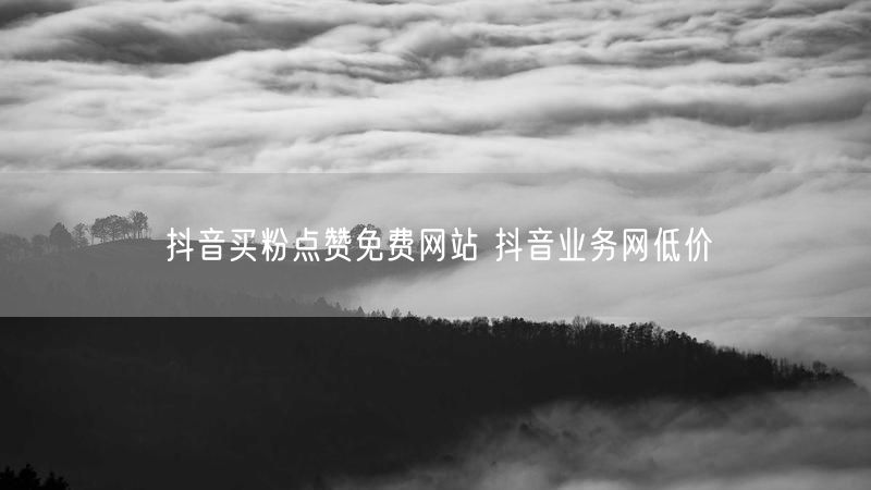 抖音买粉点赞免费网站 抖音业务网低价