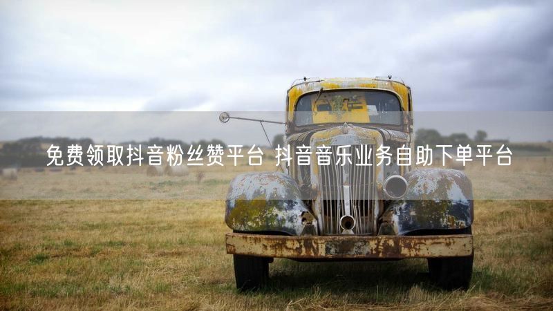 免费领取抖音粉丝赞平台 抖音音乐业务自助下单平台