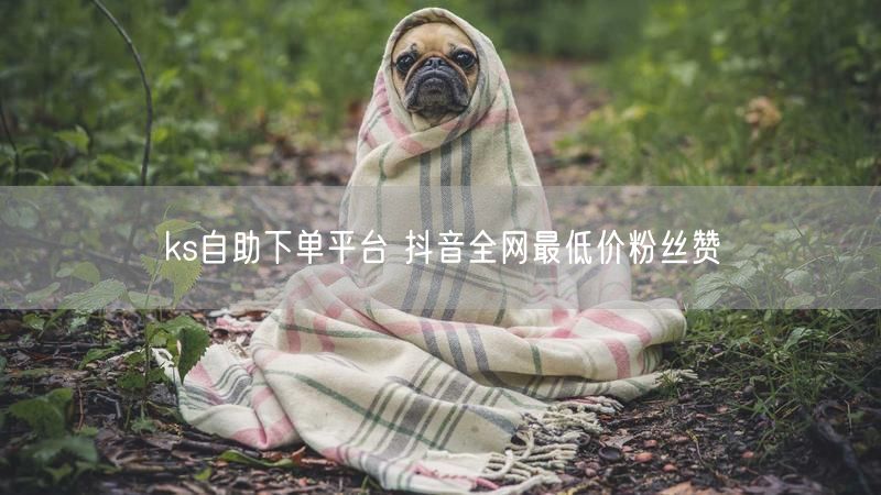 ks自助下单平台 抖音全网最低价粉丝赞