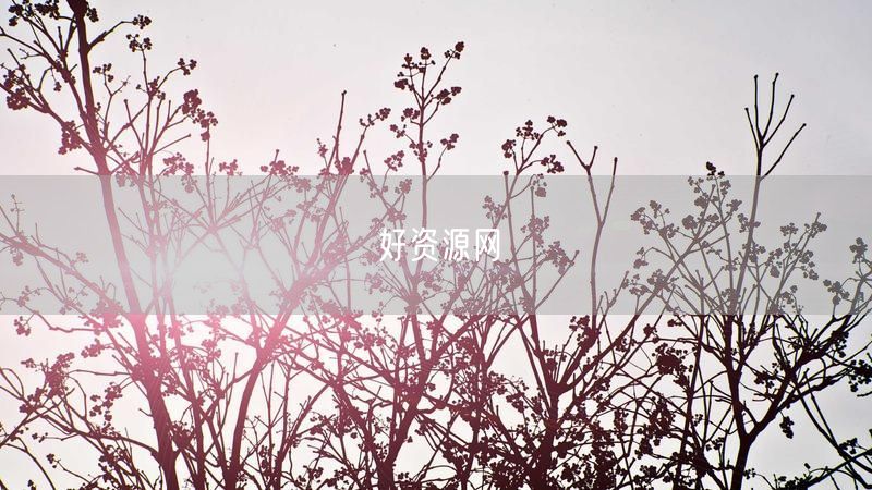 好资源网